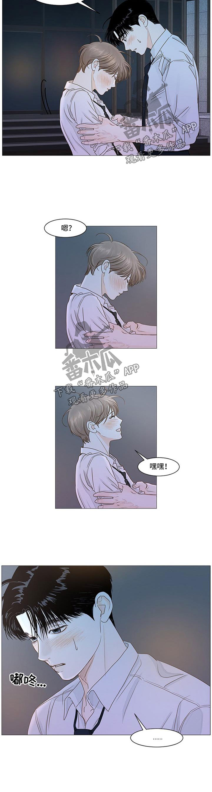 秘密之森漫画,第53章：警告2图