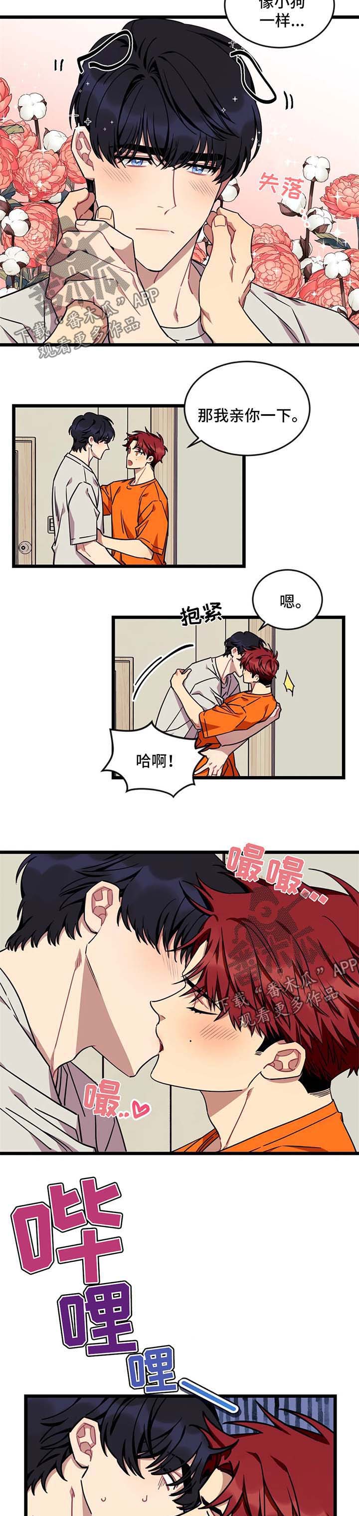 愿望使命漫画免费漫画,第49章：【第二季】抓个正着2图