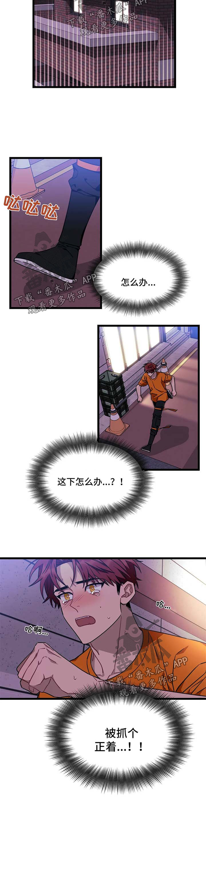 愿望使命漫画免费漫画,第49章：【第二季】抓个正着4图