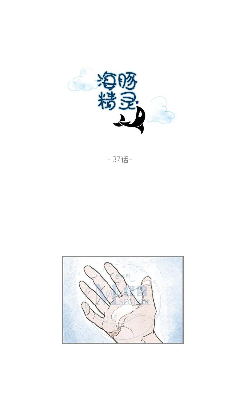 海豚比亚迪2023款漫画,第37话1图