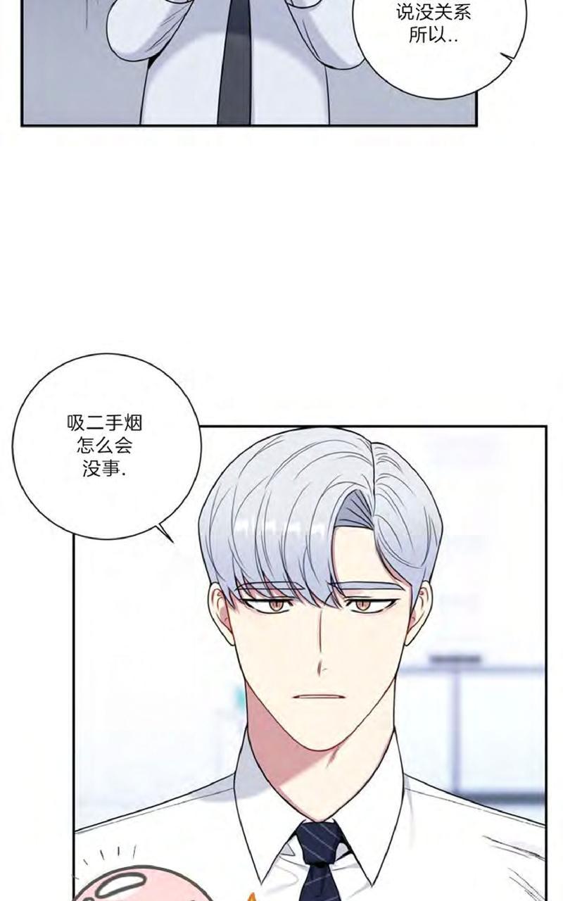冬日后的樱花完结了吗漫画,第12话3图