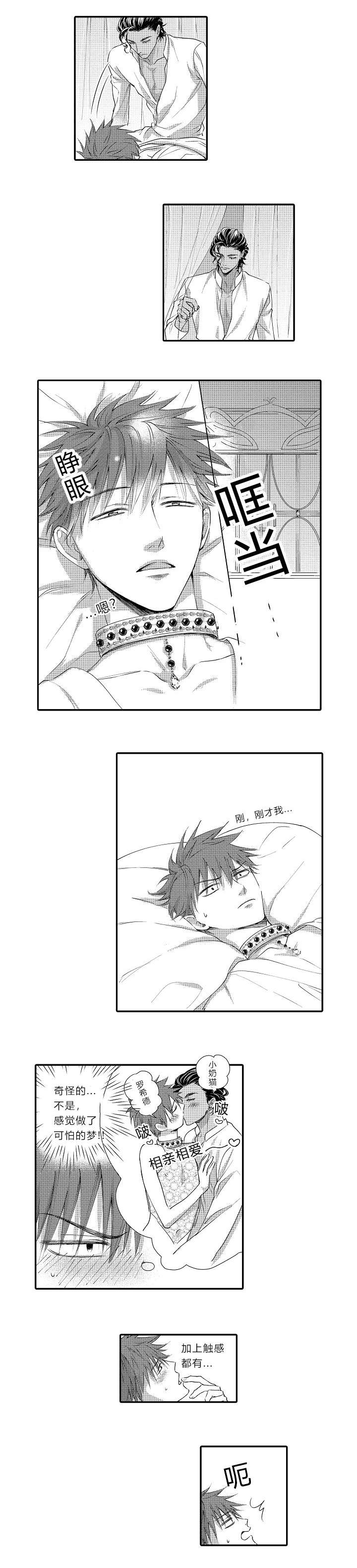 王子的骑士by欲晓笔趣阁漫画,第12话1图