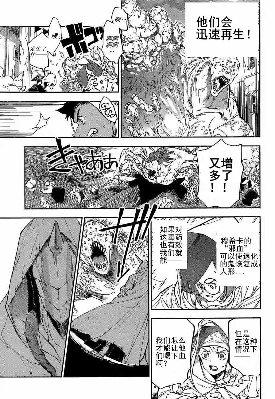 约定的梦幻岛第一季全集在线观看免费版漫画,第155话试看版3图