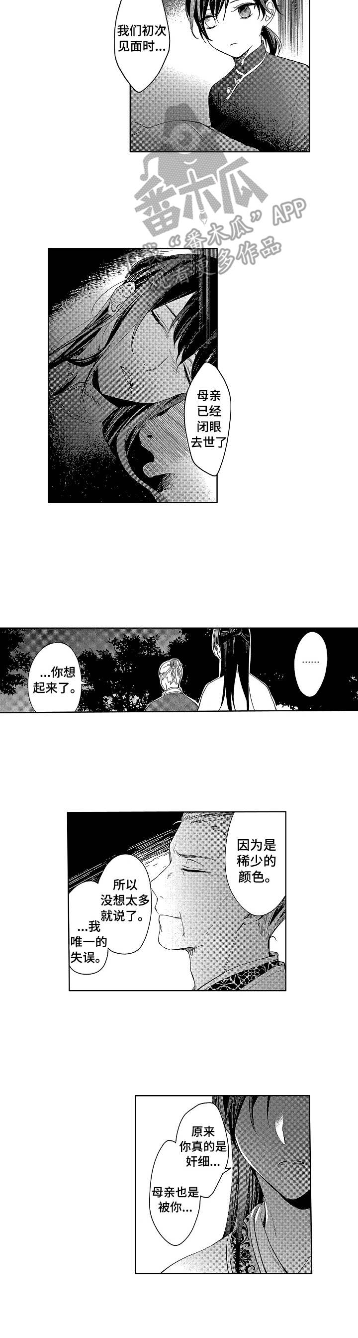 平民太子妃小说漫画,第19章：奸细2图