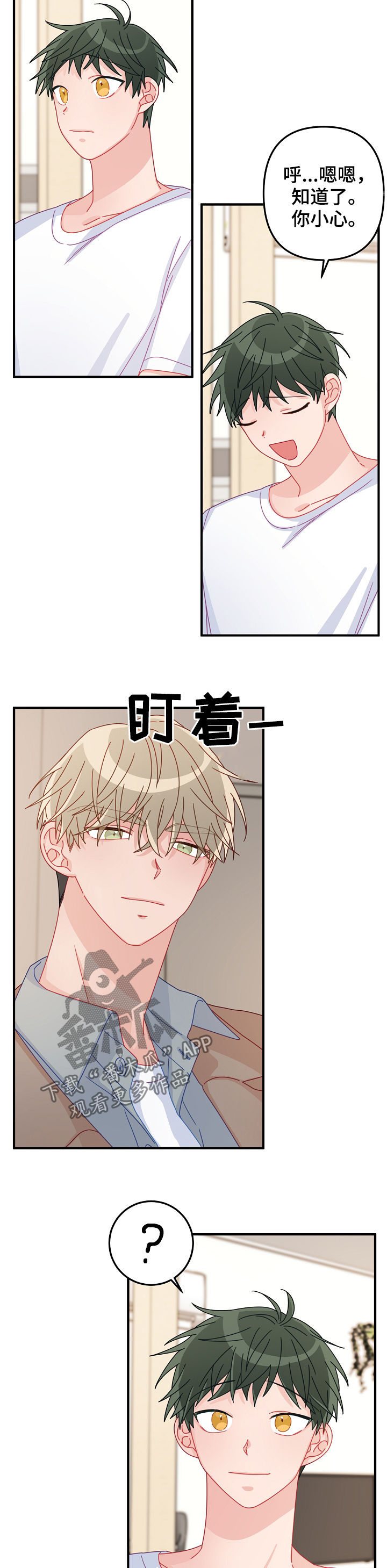 责任医生是不是主刀医生漫画,第37章： 忘得一干二净5图