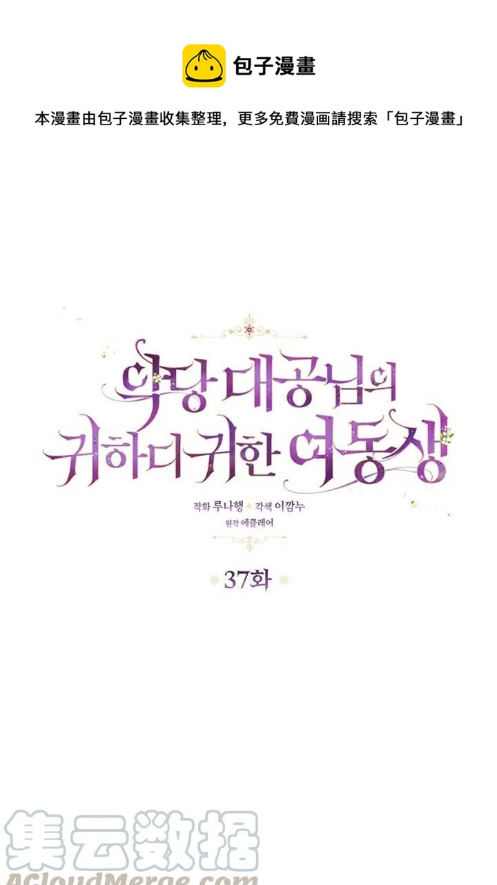 恶棍公爵的宝贝妹妹免费小说漫画,第37话1图
