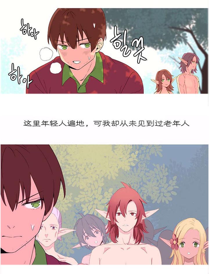 精灵小岛9漫画,第12章：发现2图