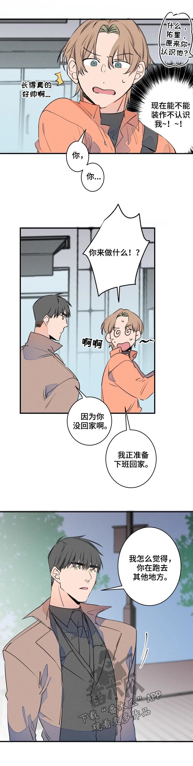 结婚合唱歌曲推荐漫画,第60章：聚餐2图