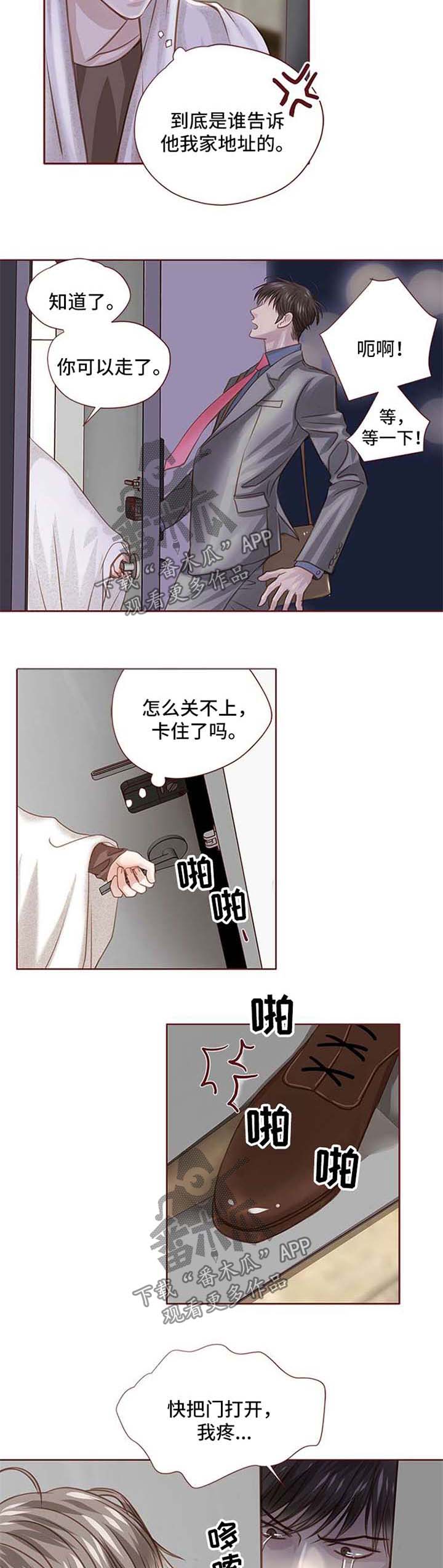 轻狂简介漫画,第27章：找上门2图