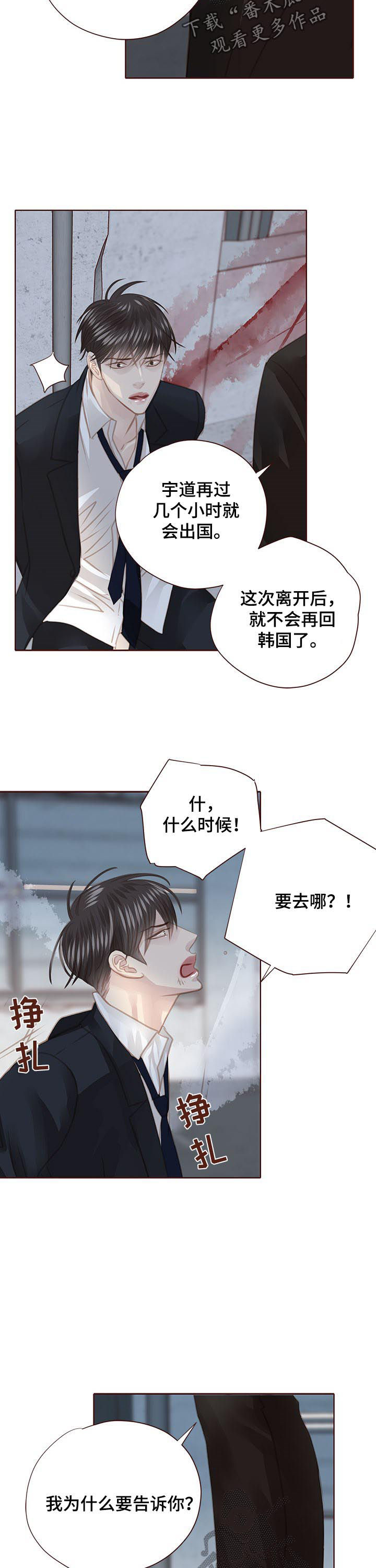 轻狂书生漫画,第115章：出国2图