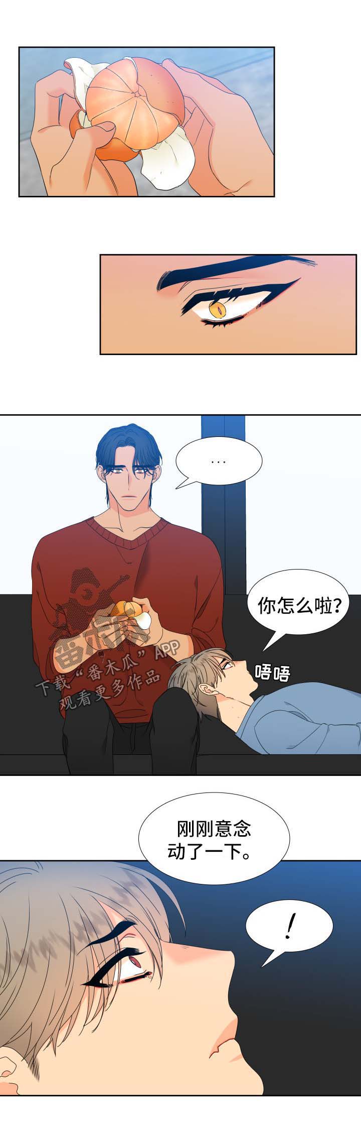 狼的香气全集漫画,第140章：【第二季】是时候见面了2图