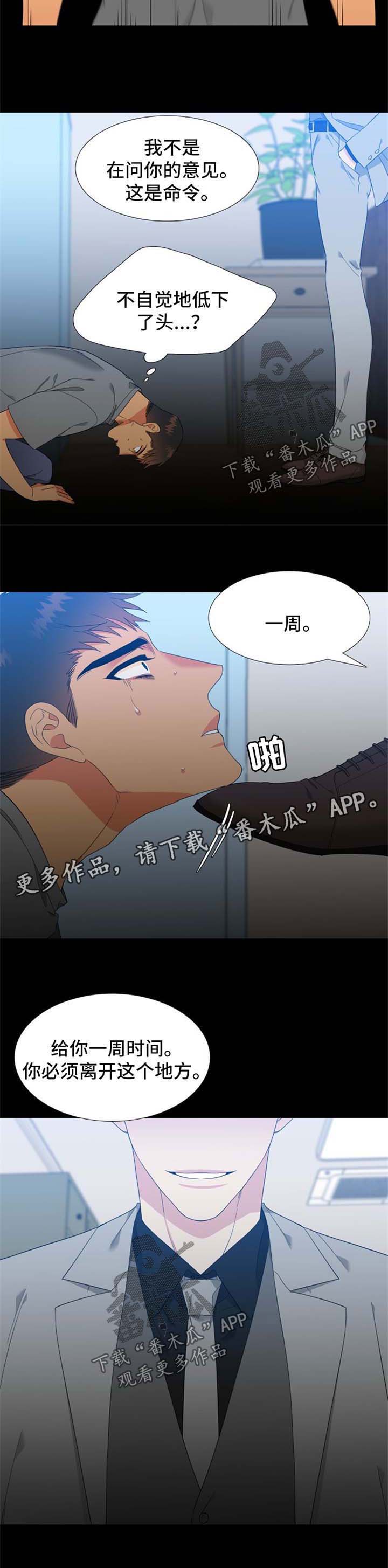 狼的香气87漫画,第169章：【第二季】强烈不安4图