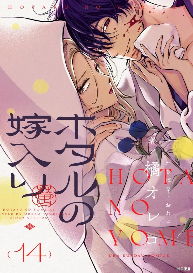 萤火虫之墓是宫崎骏的吗漫画,第14话1图