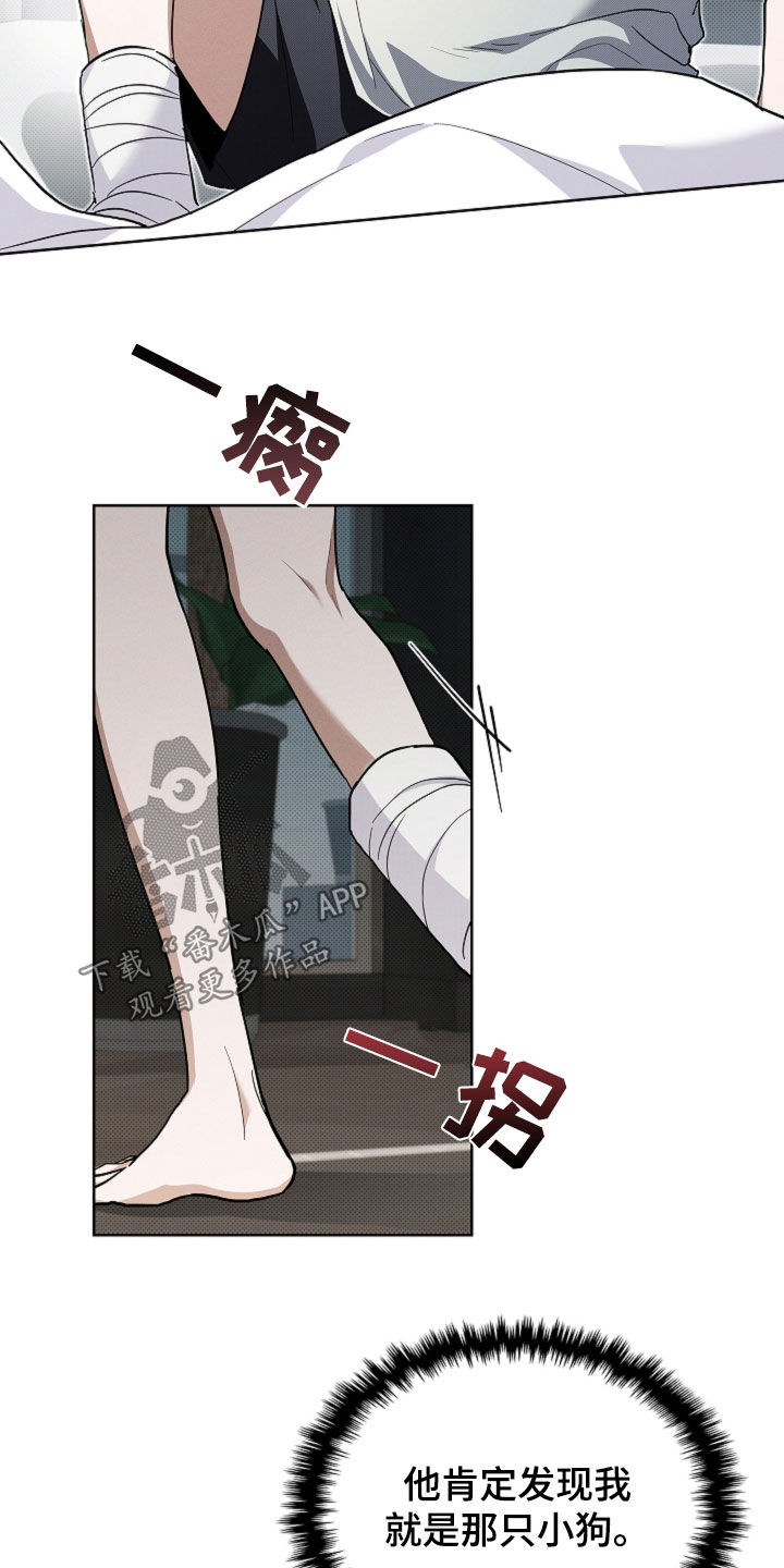 小白狗奇遇记漫蛙叫什么名字漫画,第42话3图