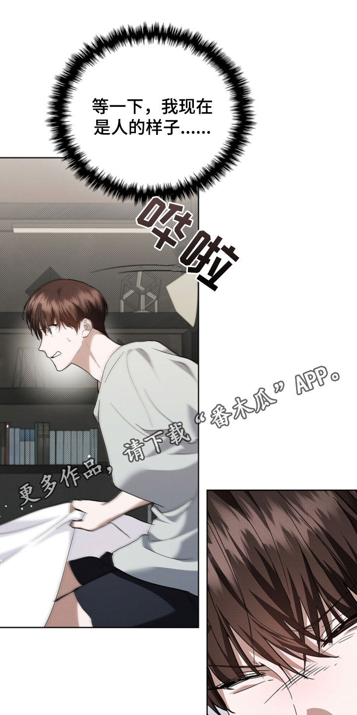 小白狗奇遇记漫蛙叫什么名字漫画,第42话1图