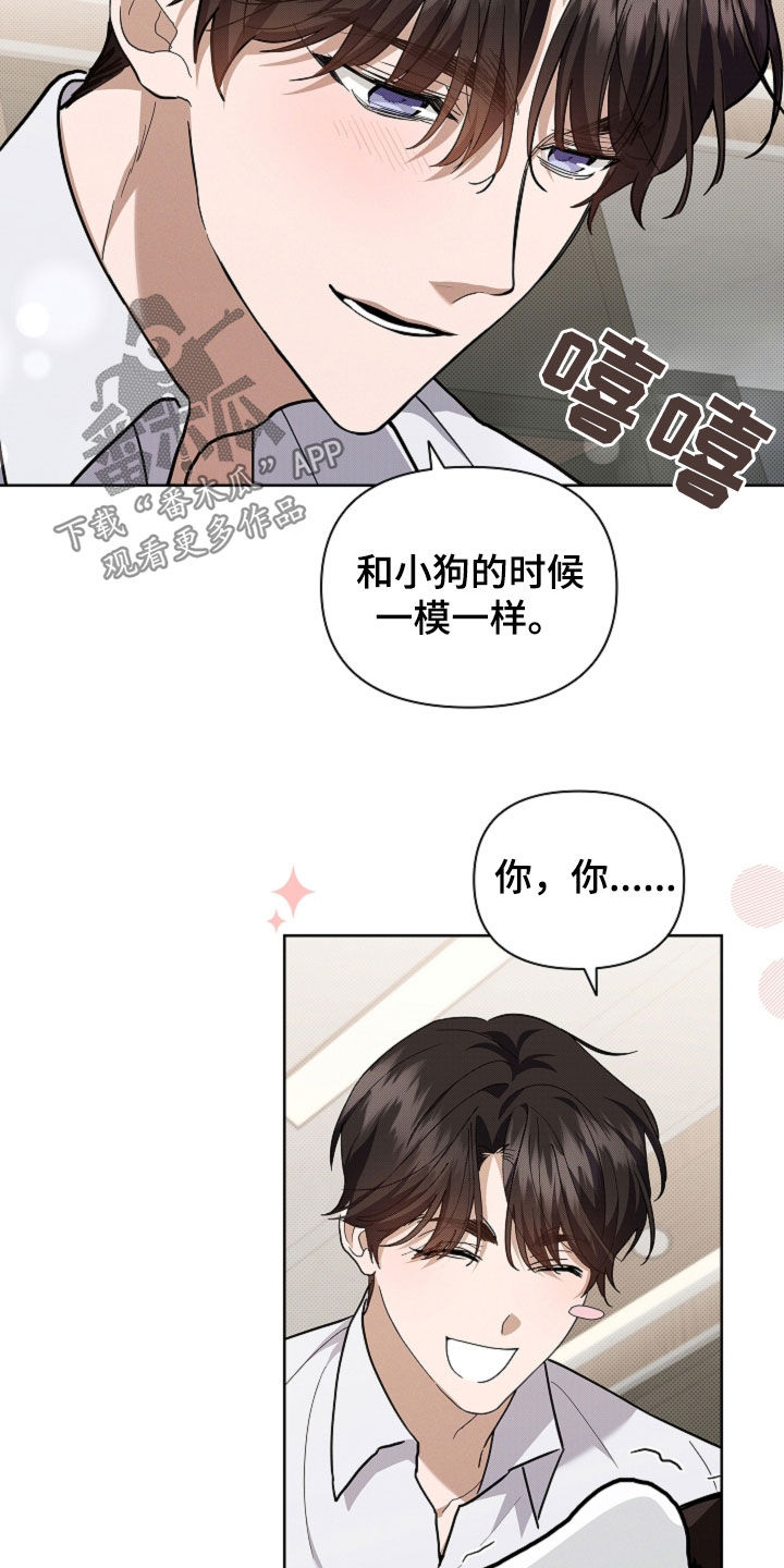 小白狗奇遇记小狗漫画,第43话4图