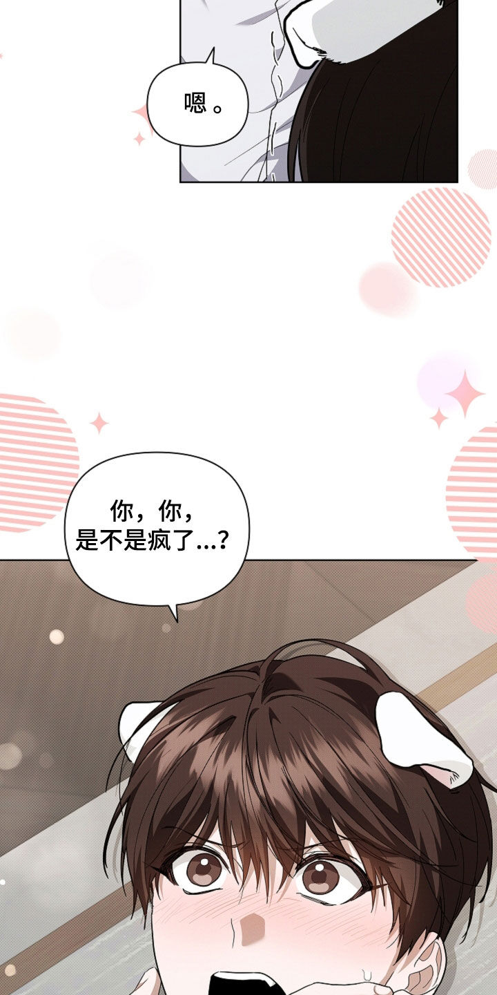 小白狗奇遇记小狗漫画,第43话5图