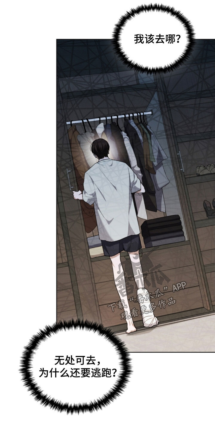 小白狗奇遇记漫蛙叫什么名字漫画,第42话5图