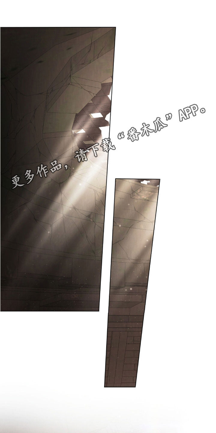 琥珀魅影漫画,第116话1图