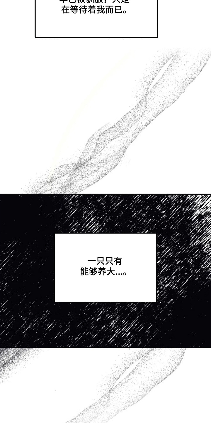 黑夫人白夫人演员漫画,第51话3图