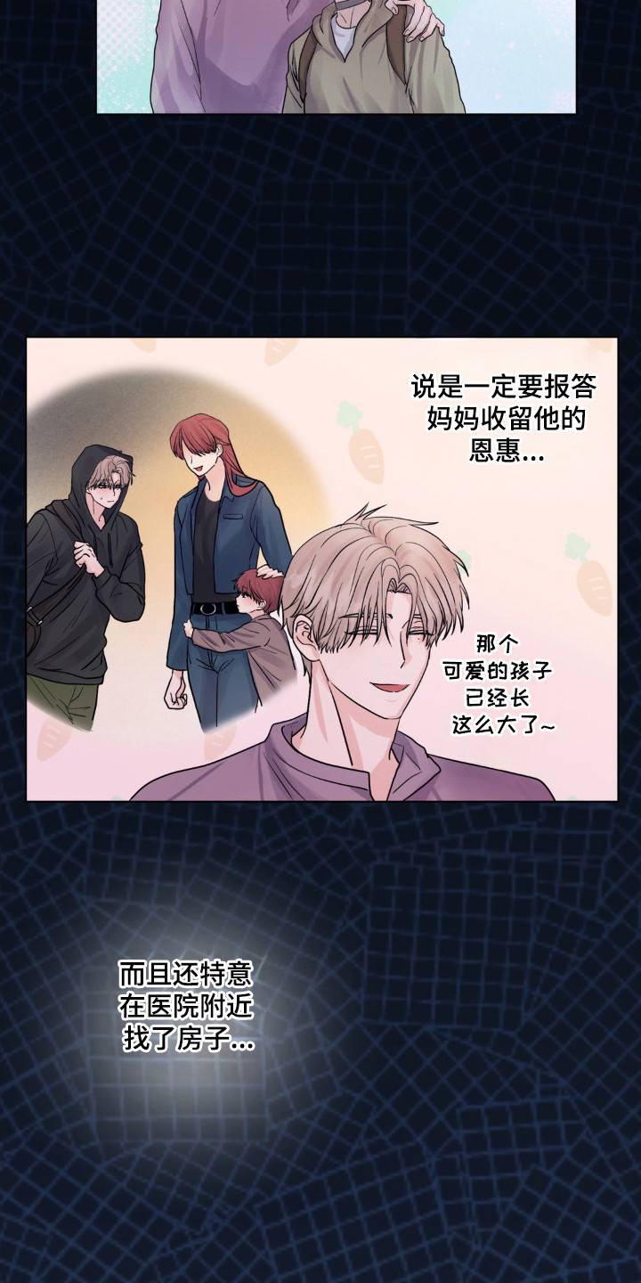 森林狼的阵容有多豪华漫画,第22话4图