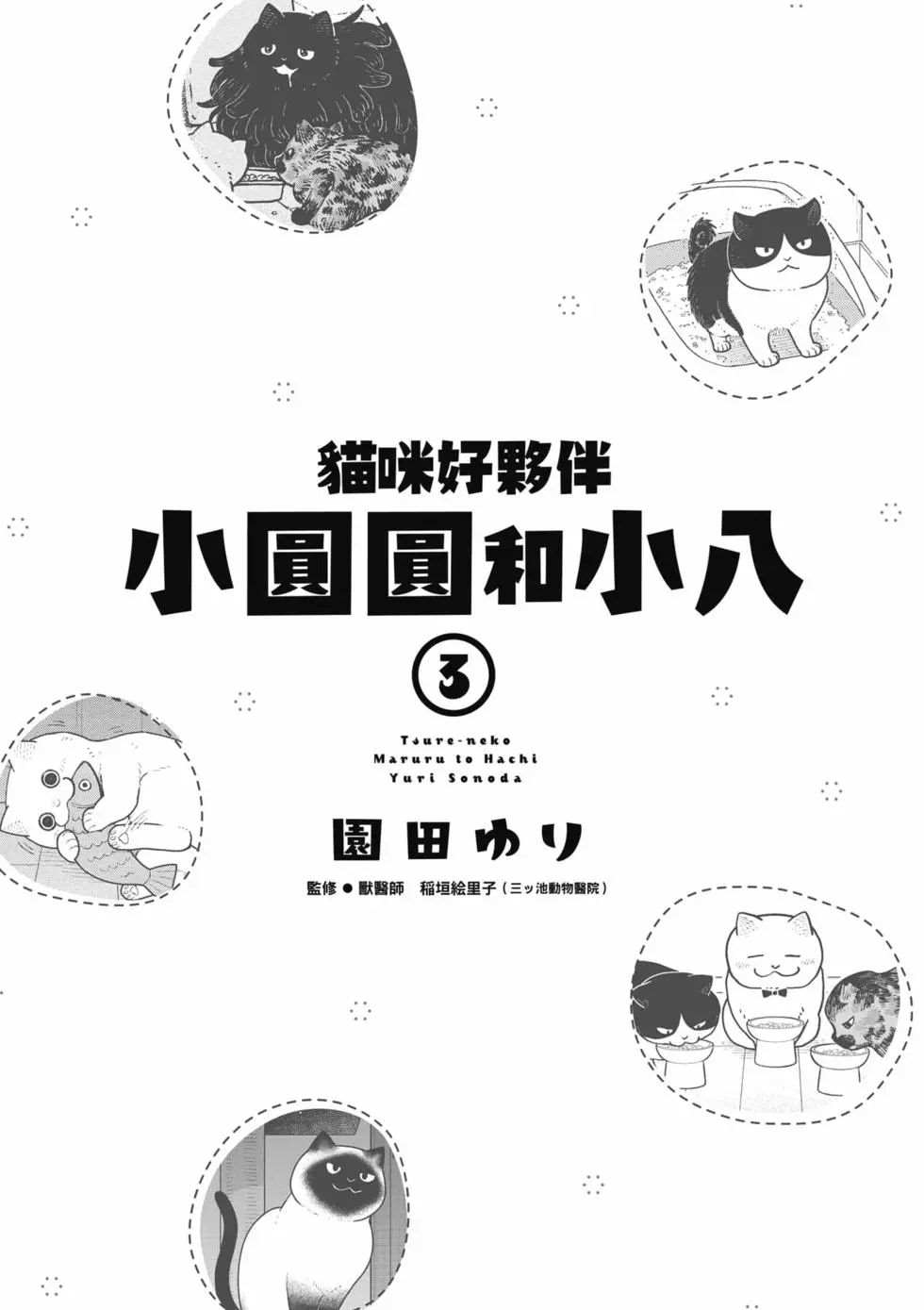 猫咪好伙伴小圆圆和小八4漫画,第3卷2图