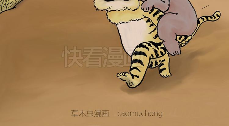 绘心社是什么漫画,斗舞4图