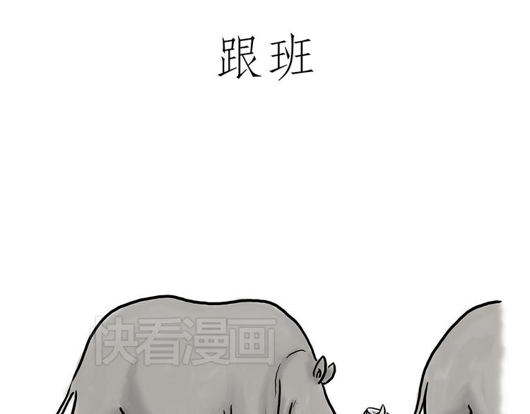 绘心一笑知乎漫画,没有走光3图