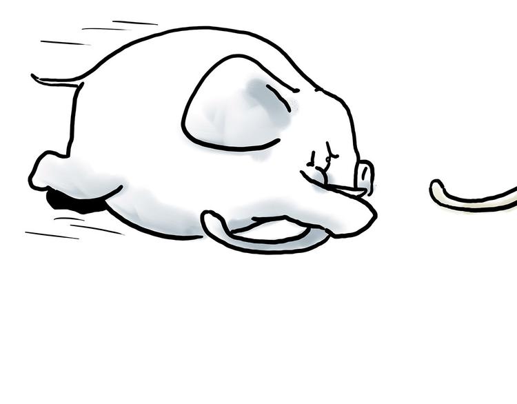 绘心社是什么漫画,舞狮迎新年4图