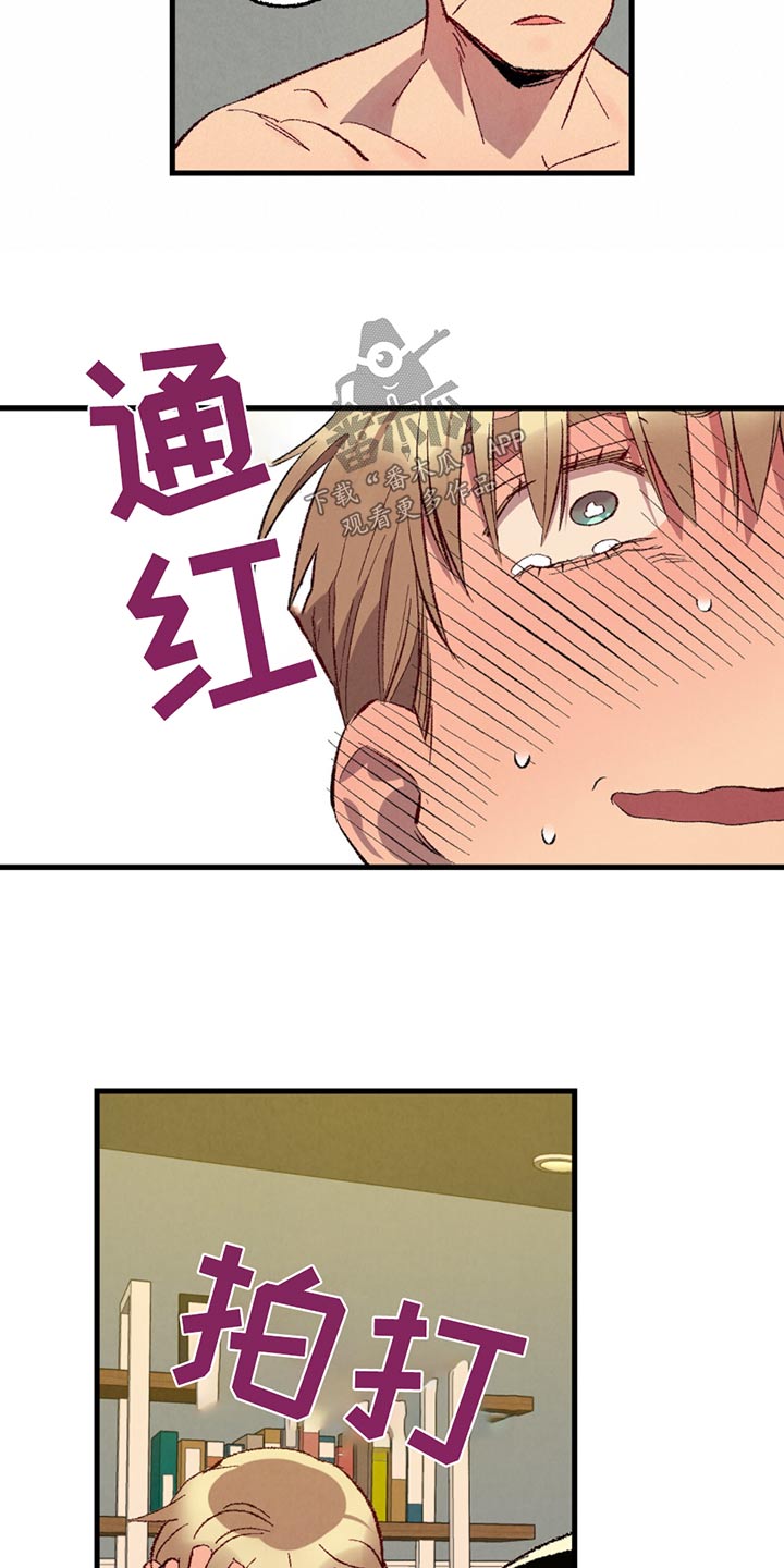 完美密友漫画在线看免费漫画,第150话4图