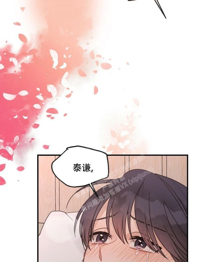 欧米伽情结漫画原著漫画免费阅读漫画,第41话5图