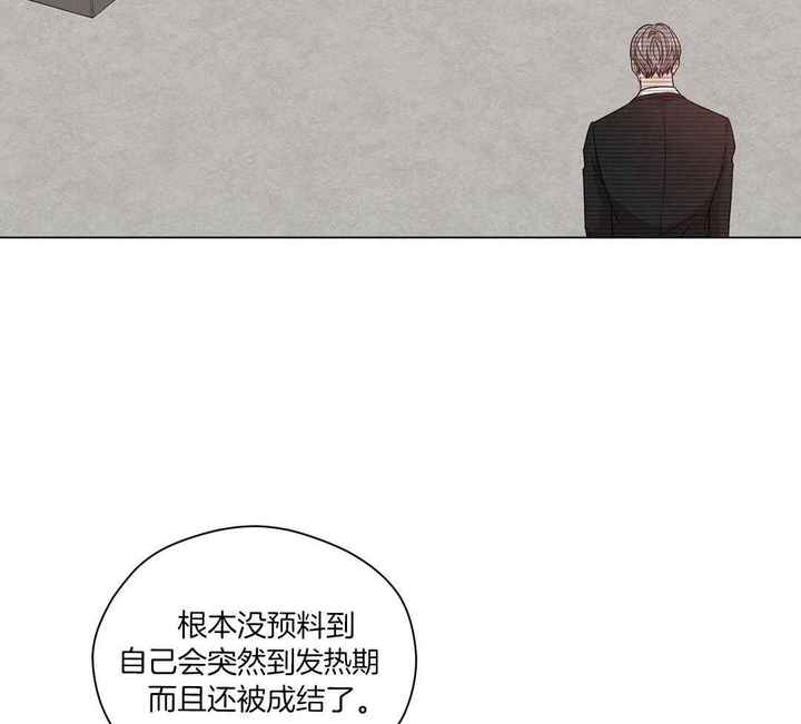 危险关系电影完整版在线免费观看星辰影院漫画,第76话4图