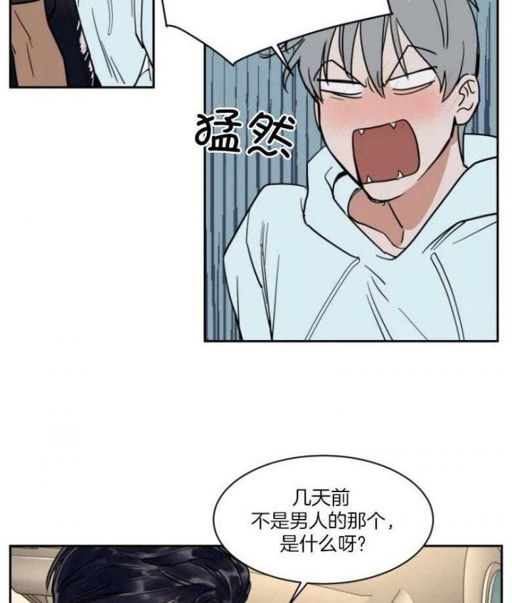 私人飞机价格大全漫画,第139话5图