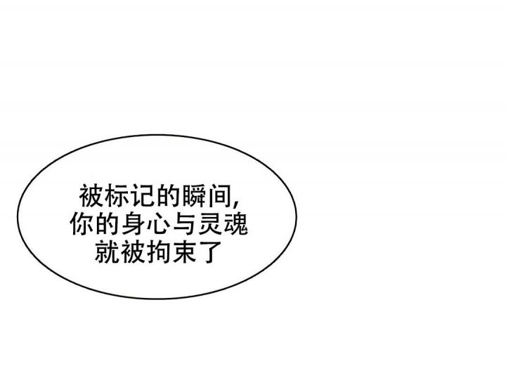 口袋精灵对决漫画,第145话5图