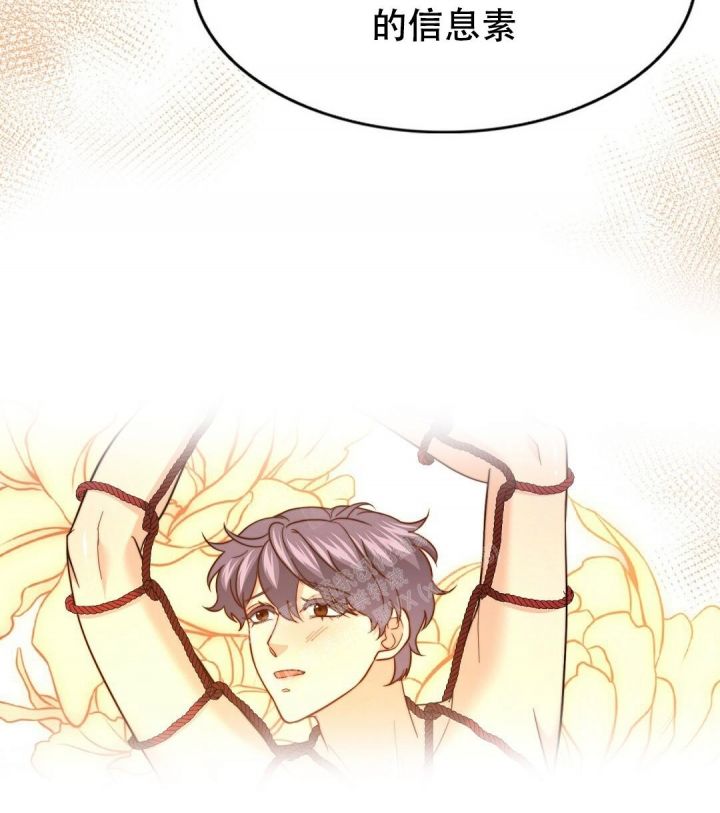 口袋精灵对决漫画,第145话4图