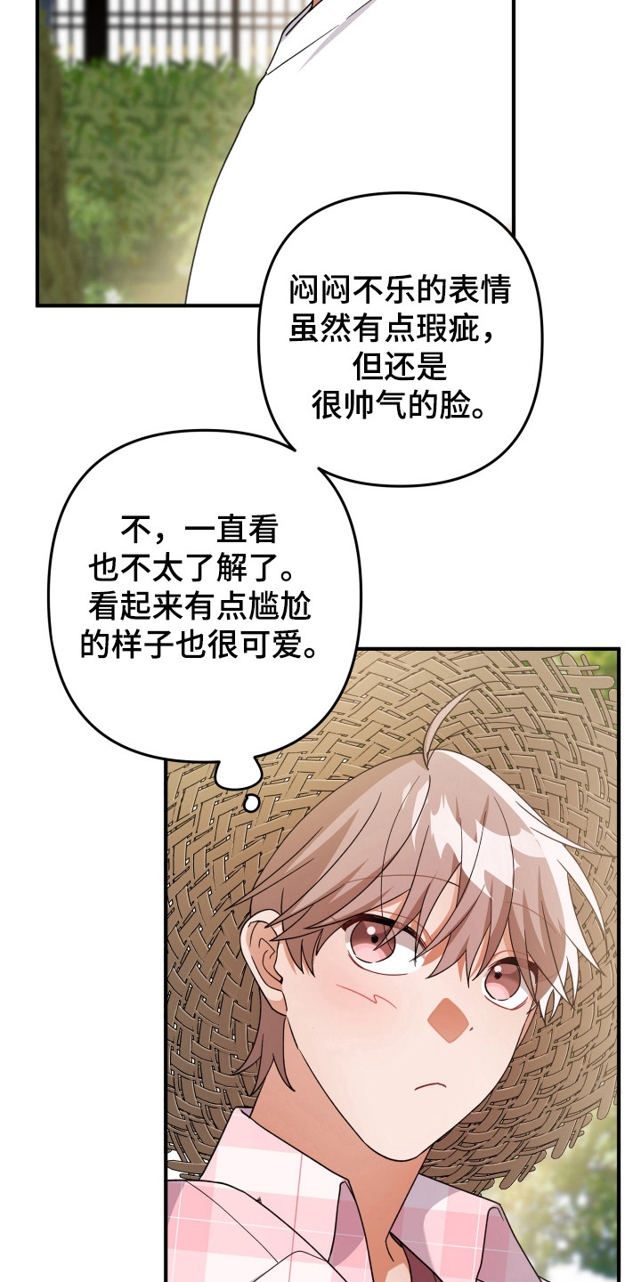 灰熊玫瑰漫画,第43话4图