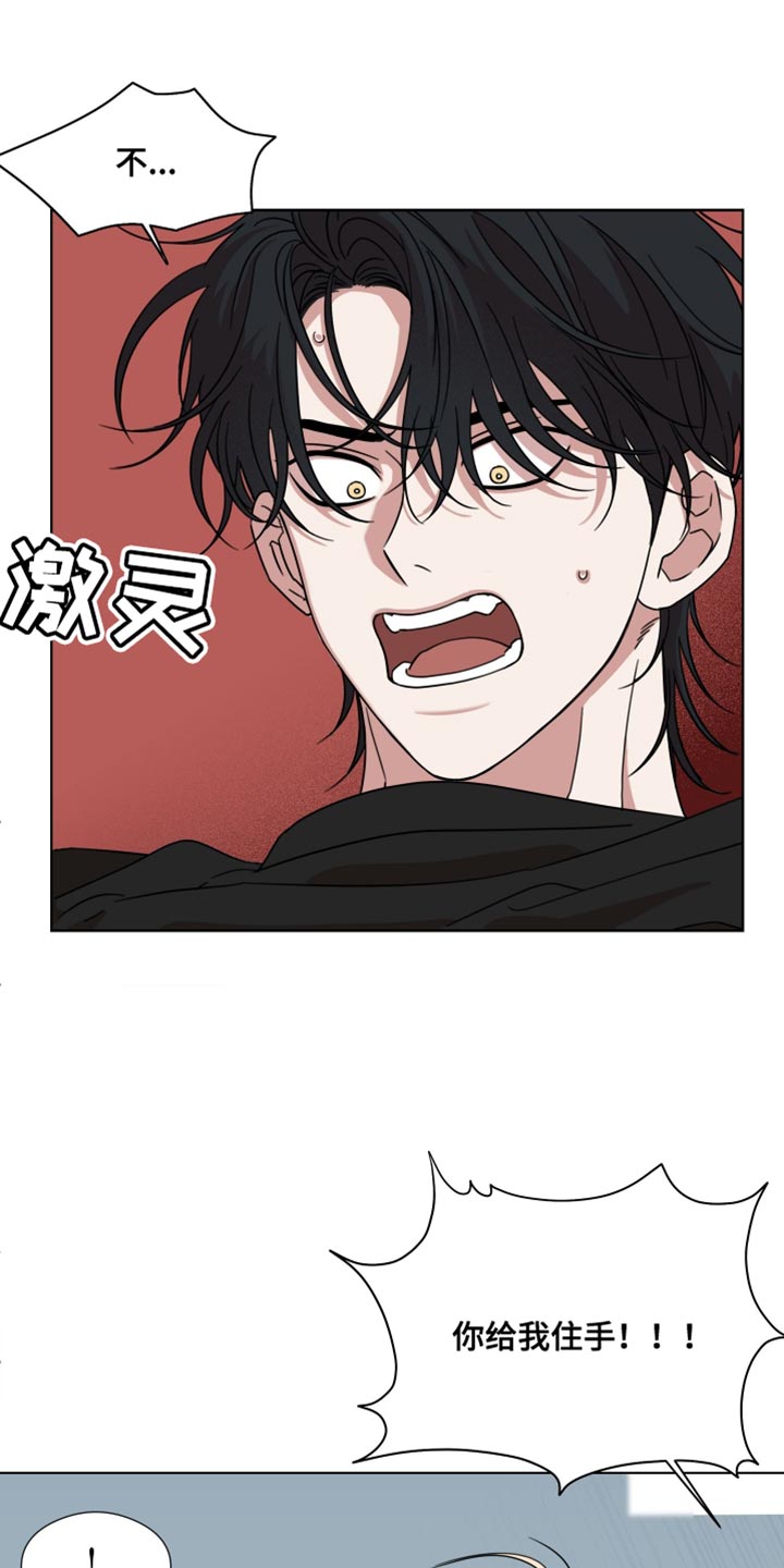 疯狂金龟车电影免费国语配音漫画,第61话1图