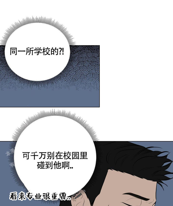 离陆家嘴近点酒店性价比漫画,第4话1图