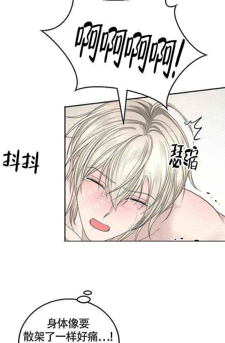 金丝雀口水能吃吗漫画,第8话5图