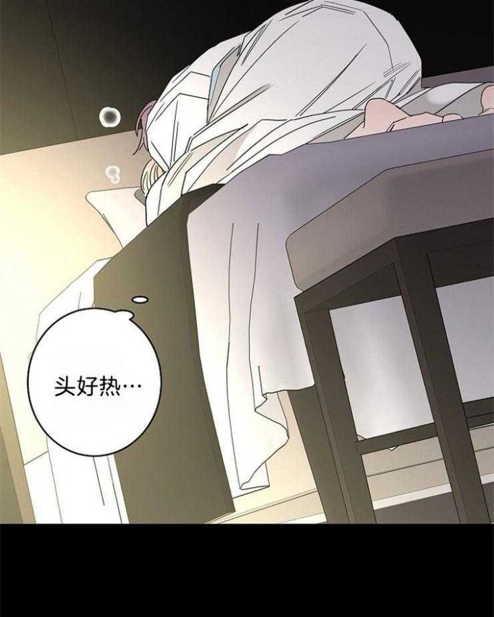 炒过的豆子会发芽吗 漫画漫画,第40话4图