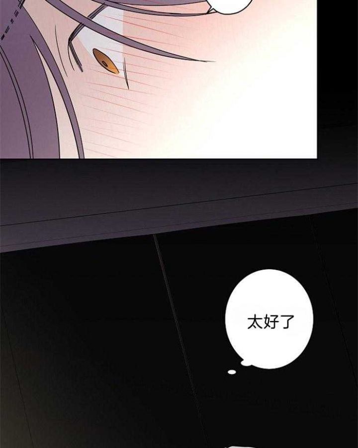 炒过的豆子会发芽吗 漫画漫画,第40话3图