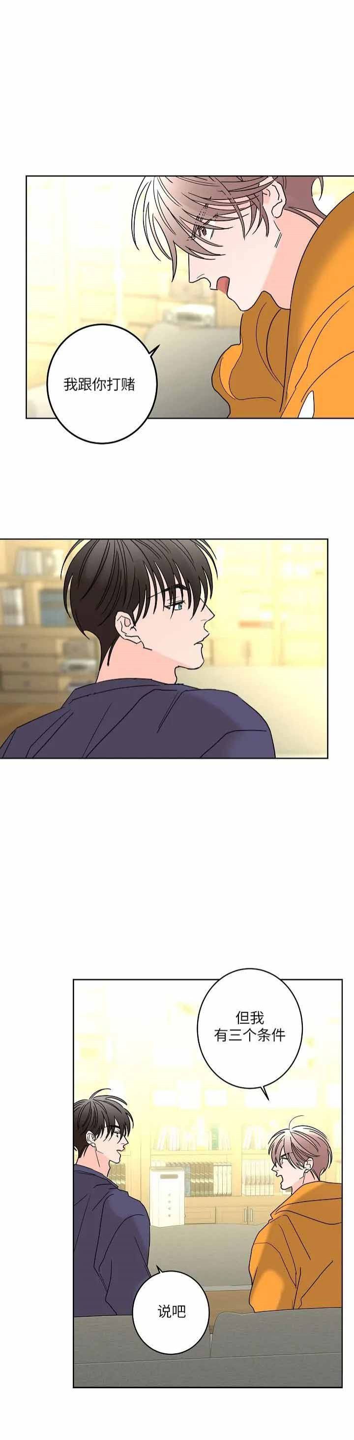 炒过的豆子会发芽吗漫画漫画,第51话5图