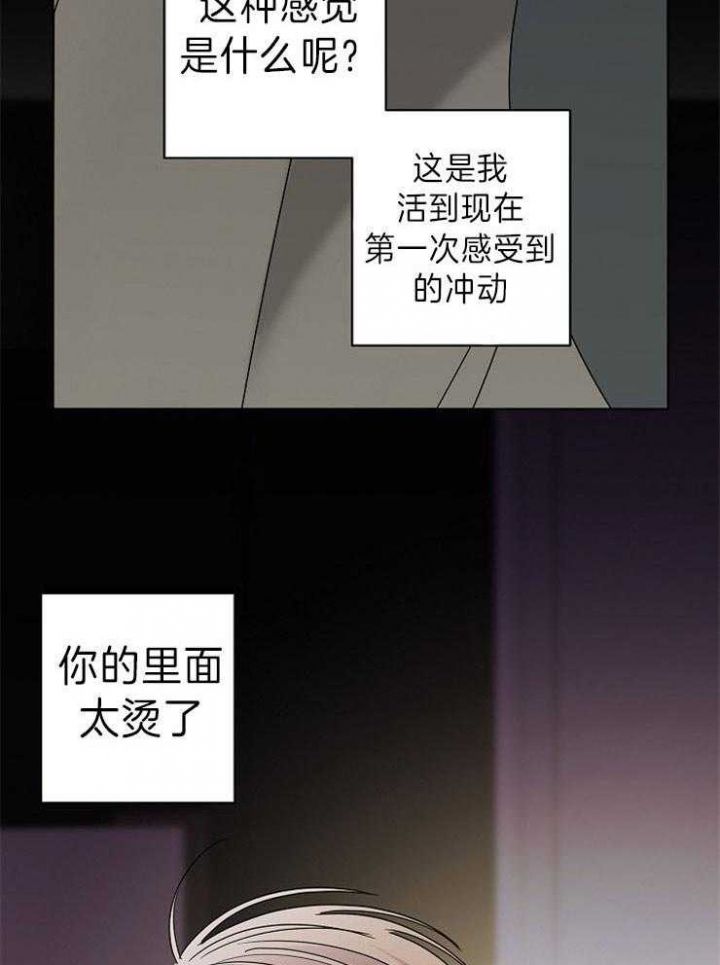 炒豆子会发芽吗第二季漫画,第41话5图