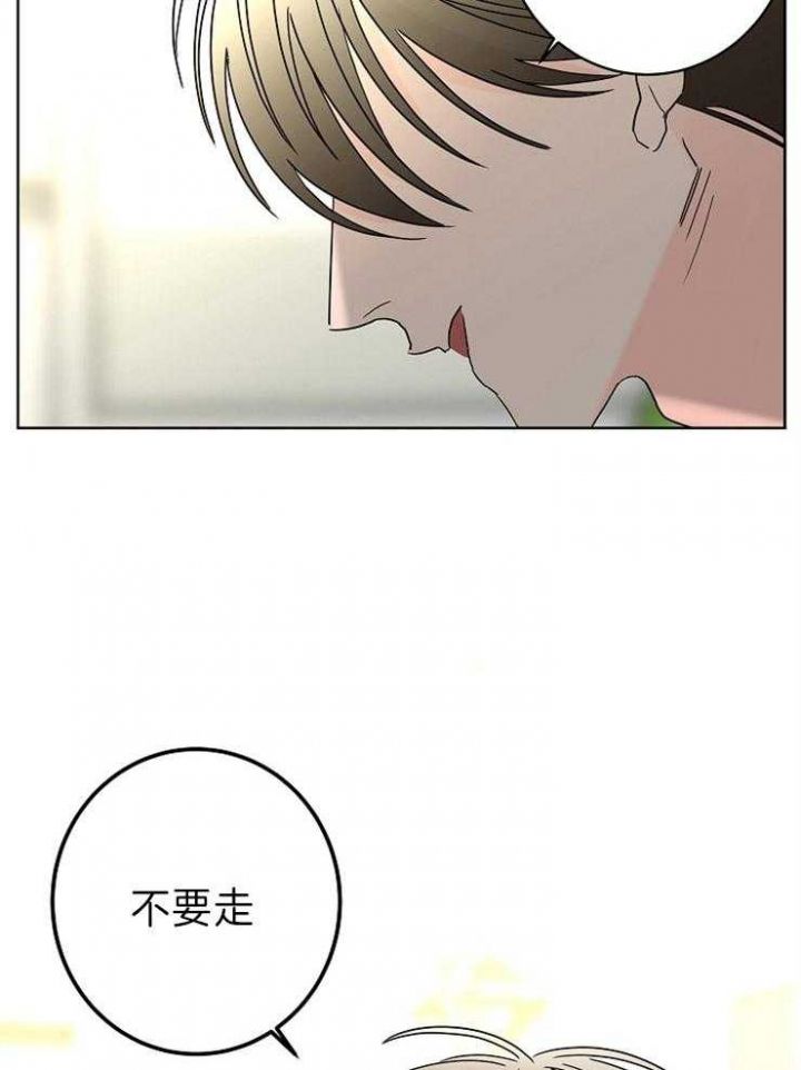 炒过的豆子会发芽吗在线看漫画,第47话3图