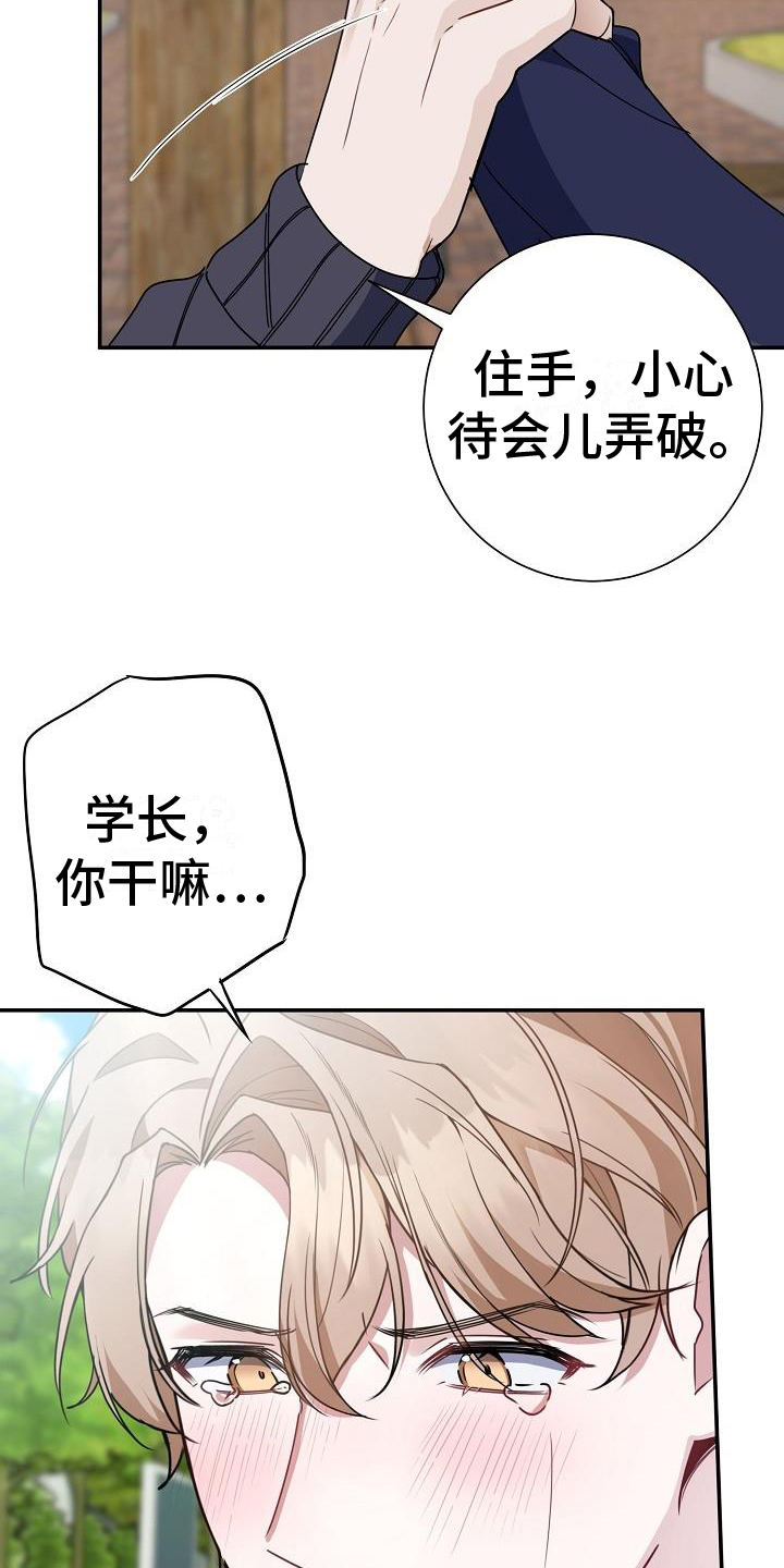 恋爱至上什么意思漫画,第1话3图
