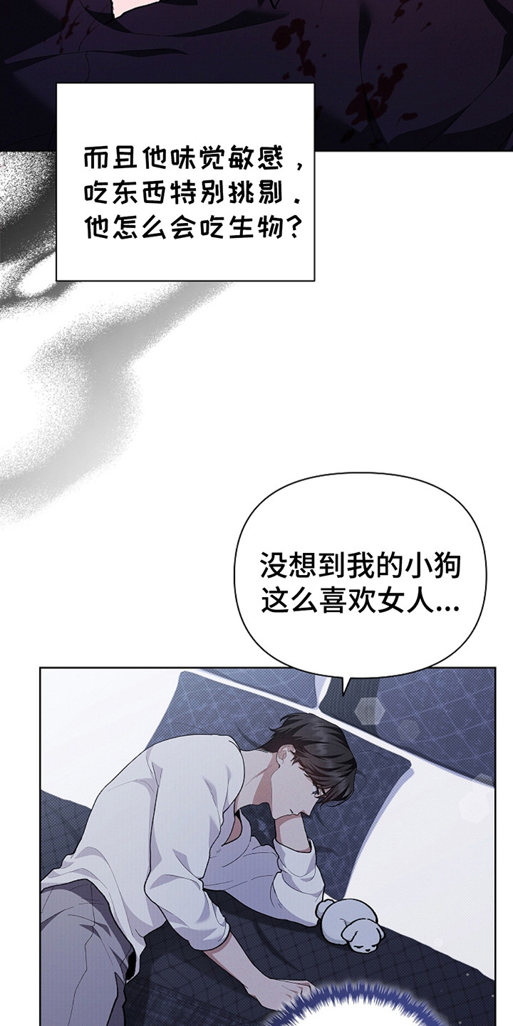 小白狗奇遇记19章漫画,第24话3图