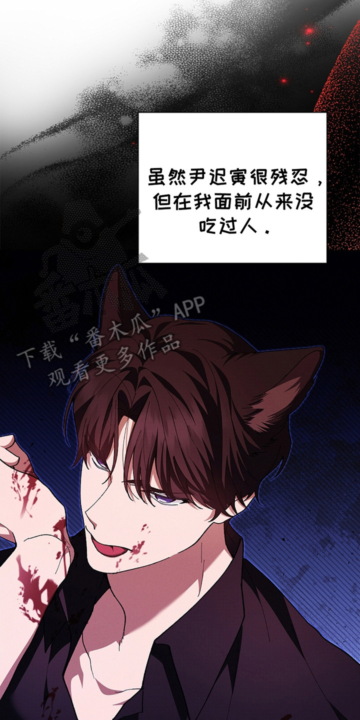 小白狗奇遇记19章漫画,第24话2图