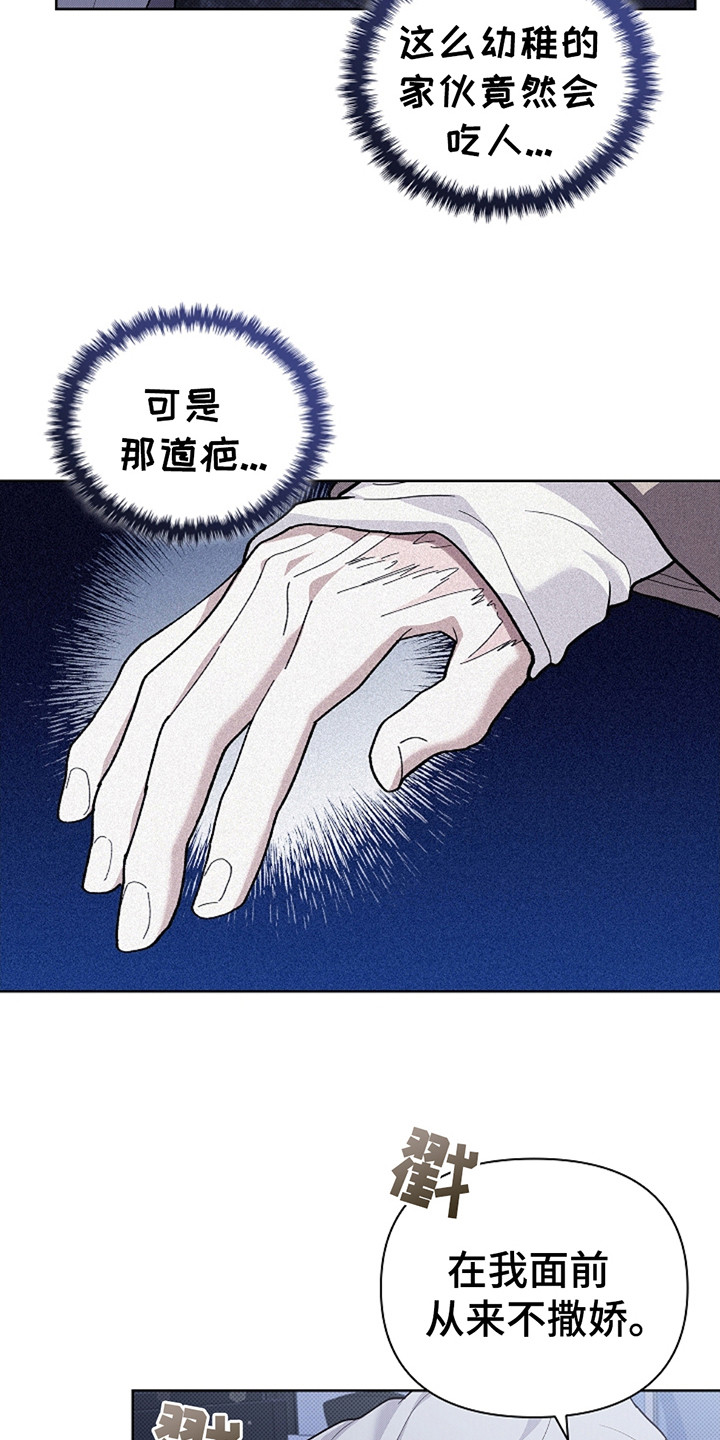小白狗奇遇记19章漫画,第24话4图