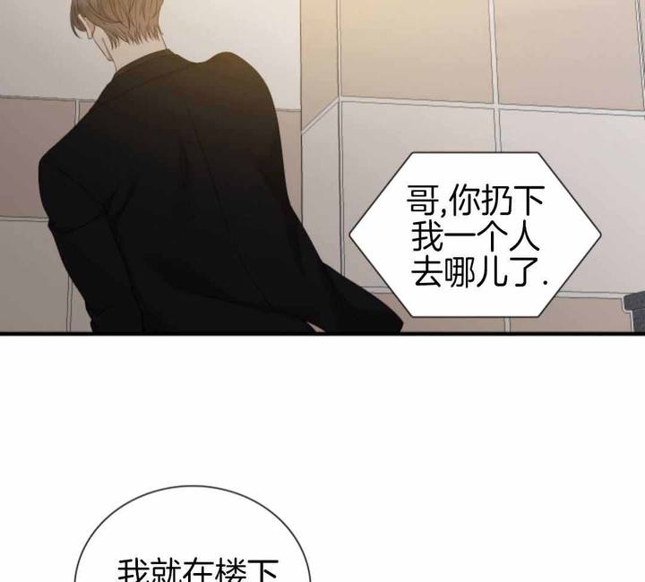 被驯服的虎完整版免费在线看漫画,第144话4图