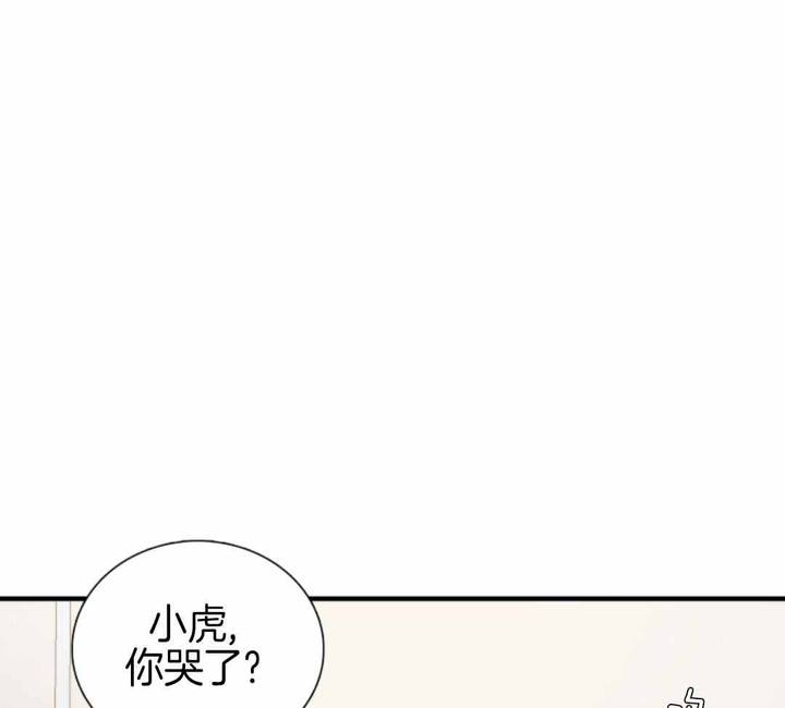 被驯服的虎完整版免费在线看漫画,第144话1图